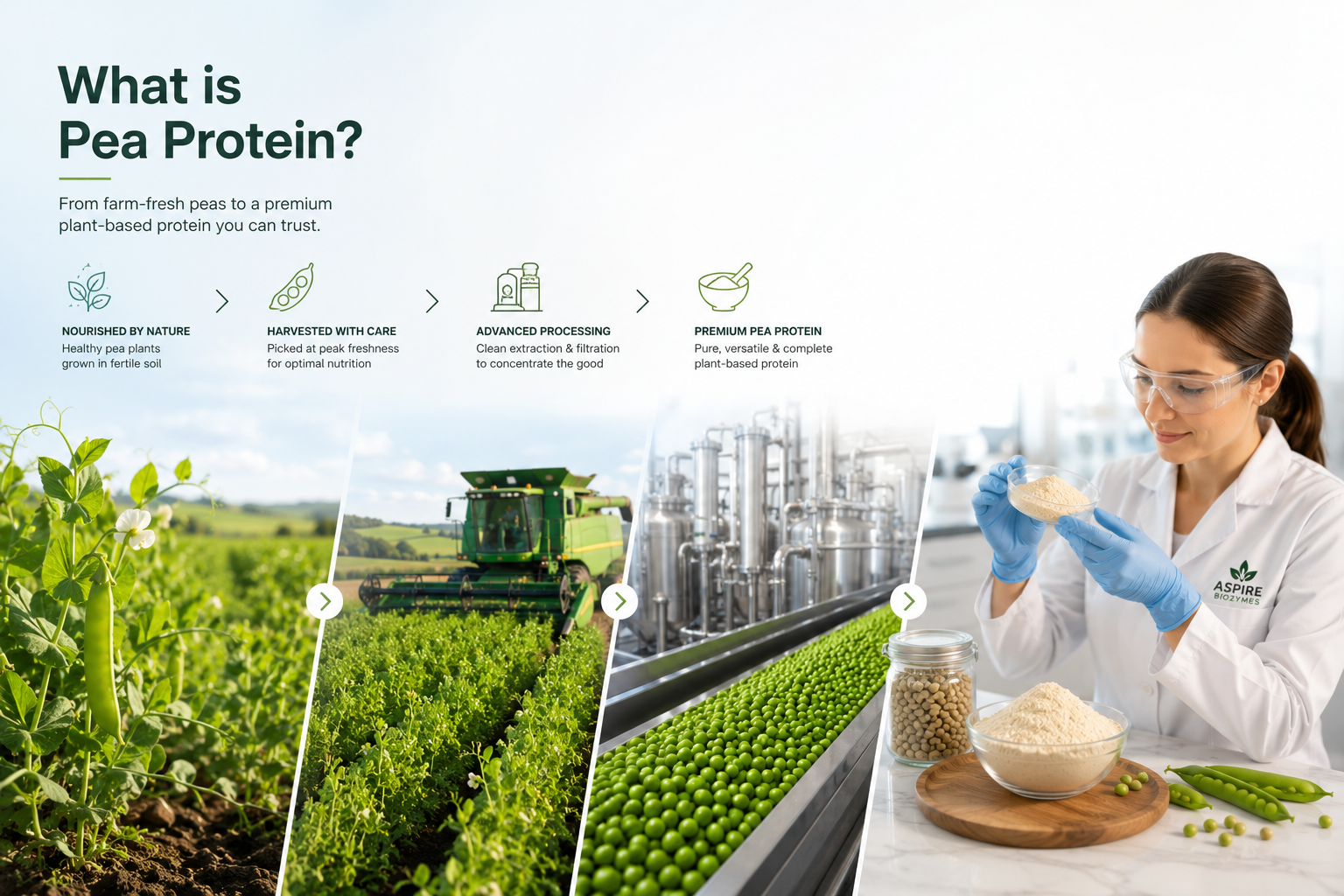 Which protein is right?