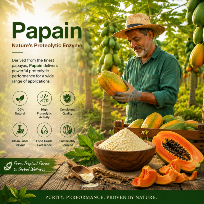 What is Papain?